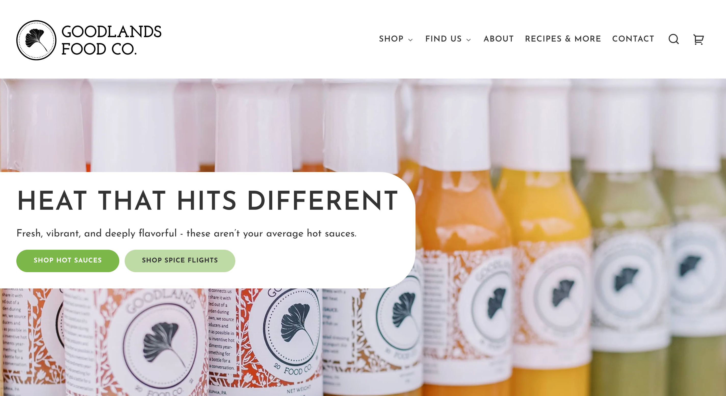 Screenshot of the Goodlands Food Co. homepage created by Next Chapter Designs, showcasing vibrant hot sauce bottles and bold header text reading “Heat That Hits Different.” The website design emphasizes bold branding, high-performing SEO, and conversion-focused calls-to-action for a growing woman-owned food and beverage business.